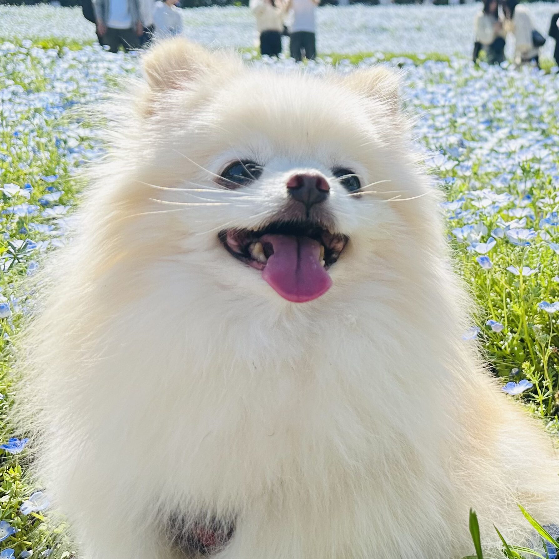 クリン